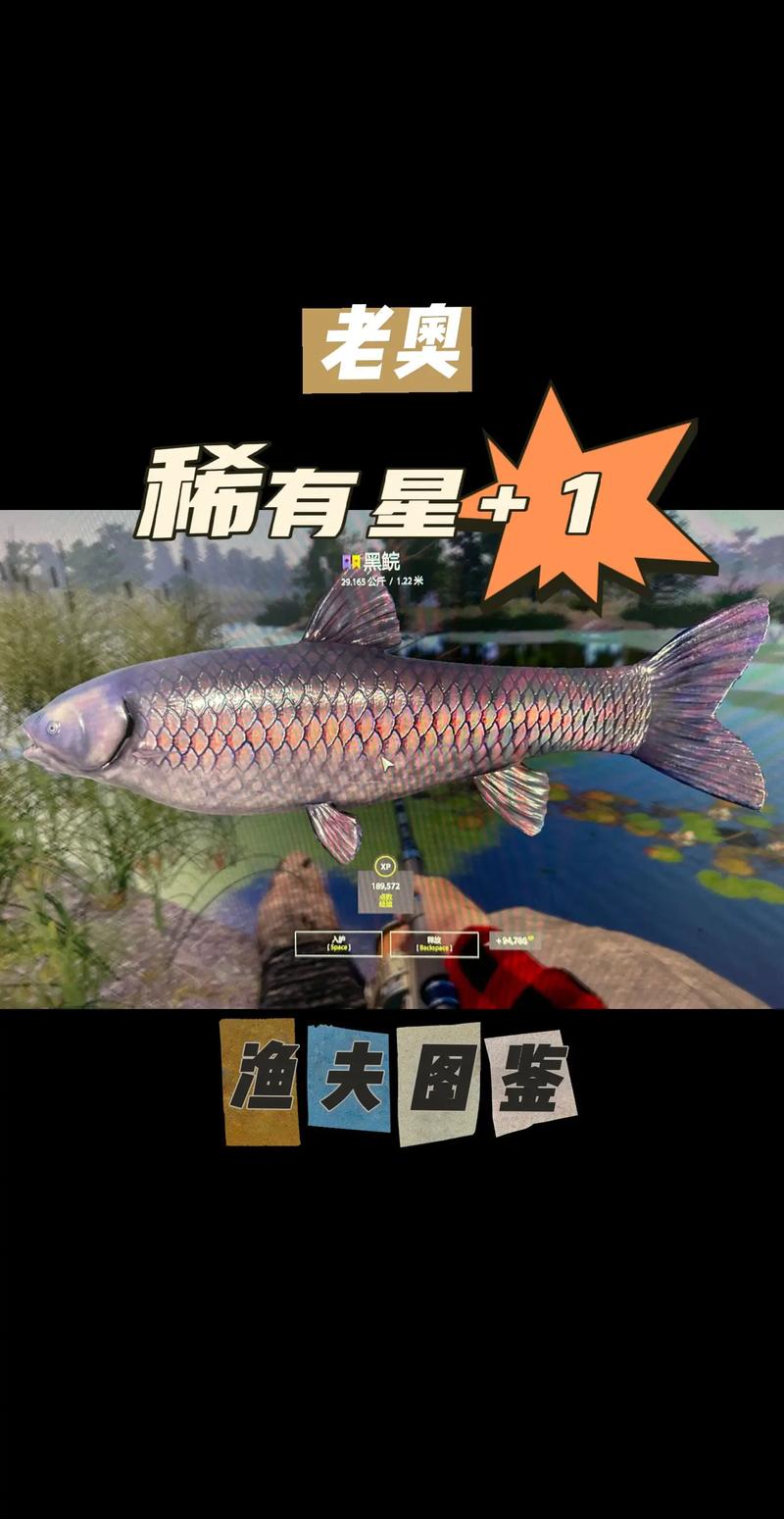 渔夫钓鱼最全游戏攻略解说_渔夫钓鱼最新游戏技巧通关