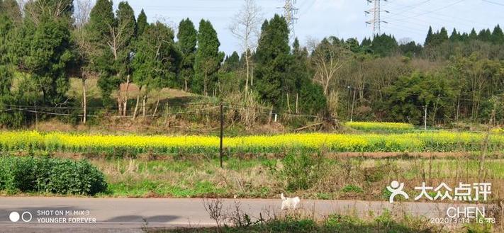 深山大泽全流程攻略秘籍_深山大泽隐藏要素全解析