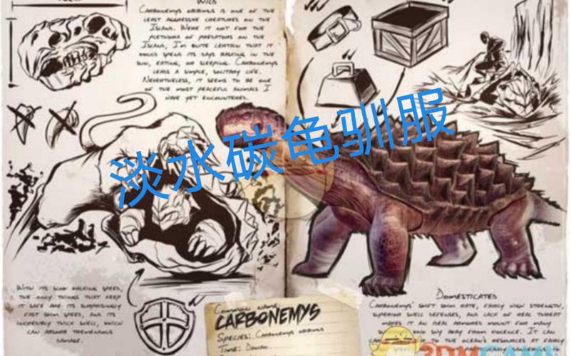 淡水碳龟最全游戏攻略解说_淡水碳龟最新游戏技巧通关