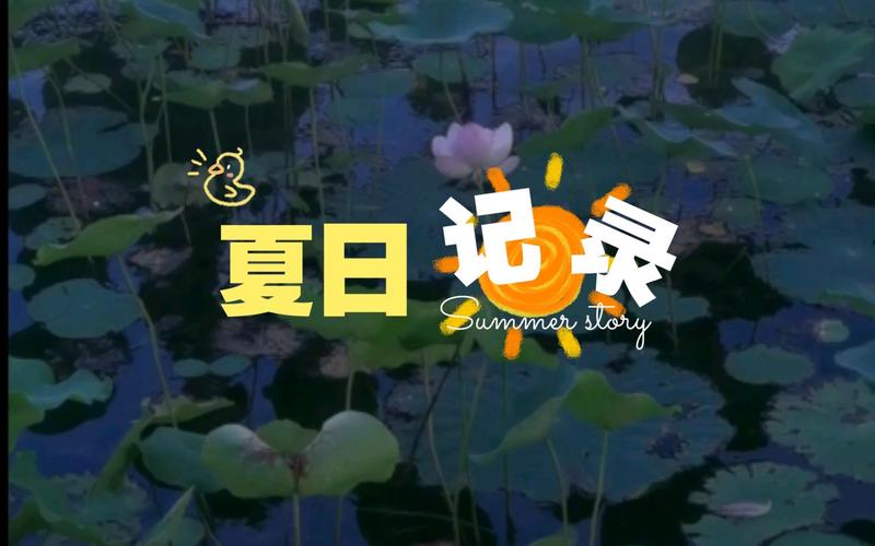 清爽一夏最全游戏攻略解说_清爽一夏最新游戏技巧通关