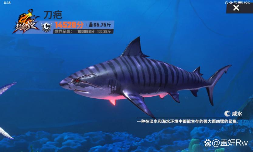 深海霸主最全游戏攻略解说_深海霸主最新游戏技巧通关