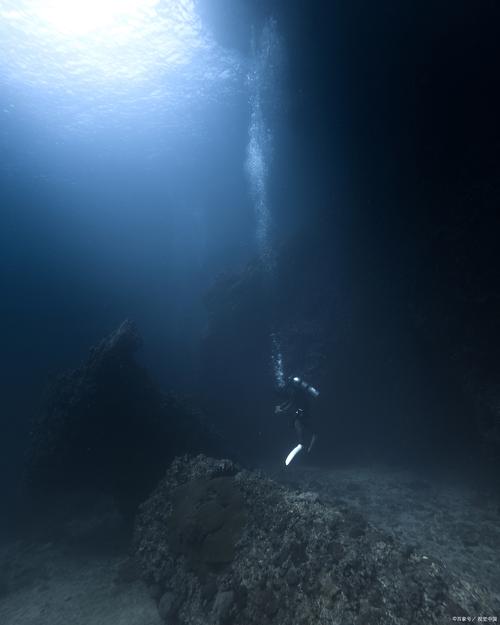 深海恐惧症视频最全游戏攻略解说_深海恐惧症视频最新游戏技巧通关