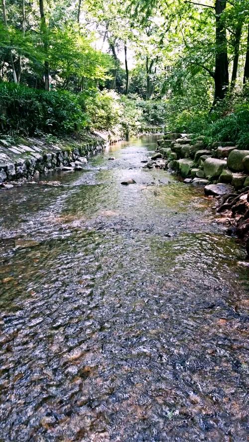 涧溪最全游戏攻略解说_涧溪最新游戏技巧通关