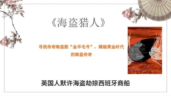 海盗猎人最全游戏攻略解说_海盗猎人最新游戏技巧通关