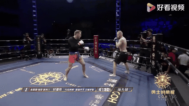 海登最全游戏攻略解说_海登最新游戏技巧通关