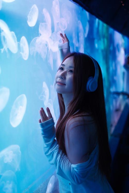 海洋精灵最全游戏攻略解说_海洋精灵最新游戏技巧通关