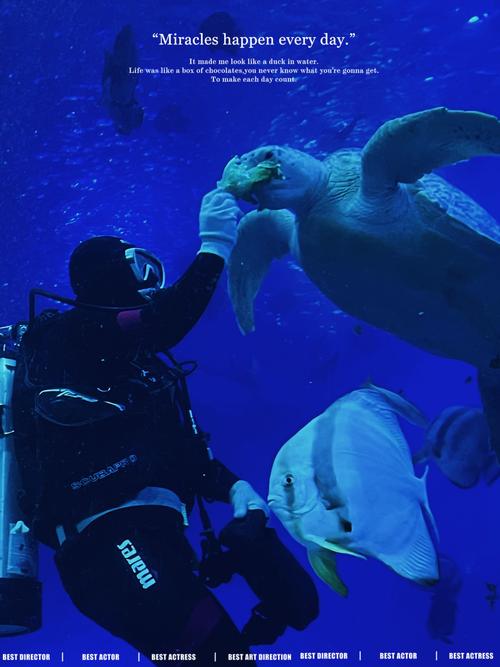 海洋精灵最全游戏攻略解说_海洋精灵最新游戏技巧通关