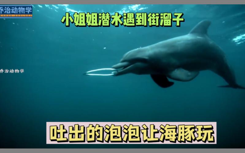 海洋泡泡最全游戏攻略解说_海洋泡泡最新游戏技巧通关