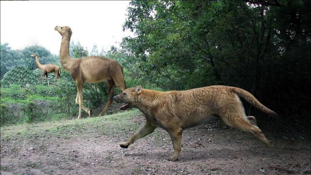 海德尼上犬最全游戏攻略解说_海德尼上犬最新游戏技巧通关