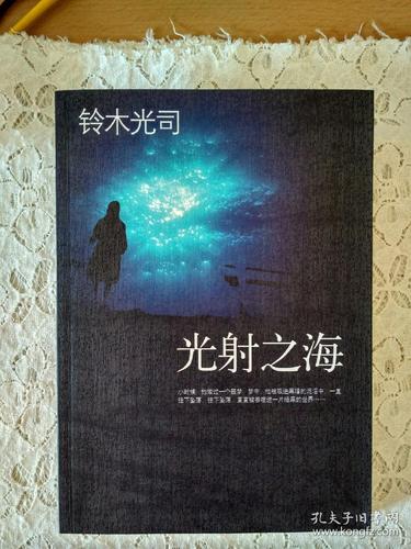 海之光最全游戏攻略解说_海之光最新游戏技巧通关