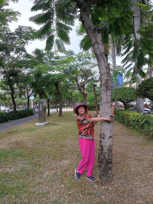 浪翁荡媳最全游戏攻略解说_浪翁荡媳最新游戏技巧通关