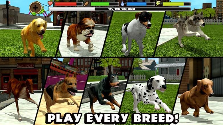 流浪狗模拟器最全游戏攻略解说_流浪狗模拟器最新游戏技巧通关