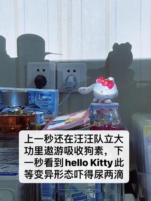 流浪日记全流程攻略解说_流浪日记最新技巧通关