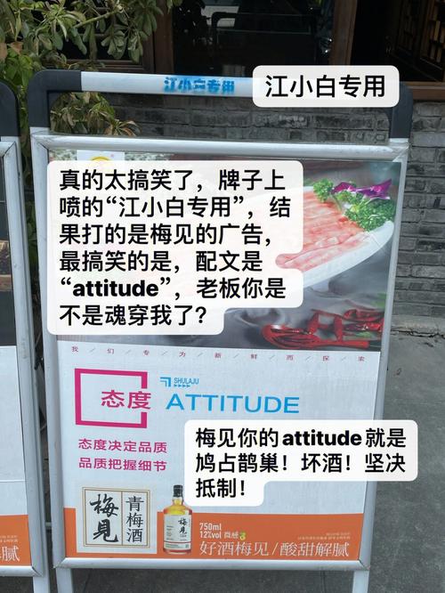 流浪日记全流程攻略解说_流浪日记最新技巧通关