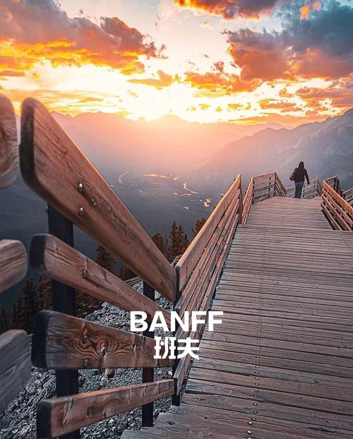 洛基山最全游戏攻略解说_洛基山最新游戏技巧通关