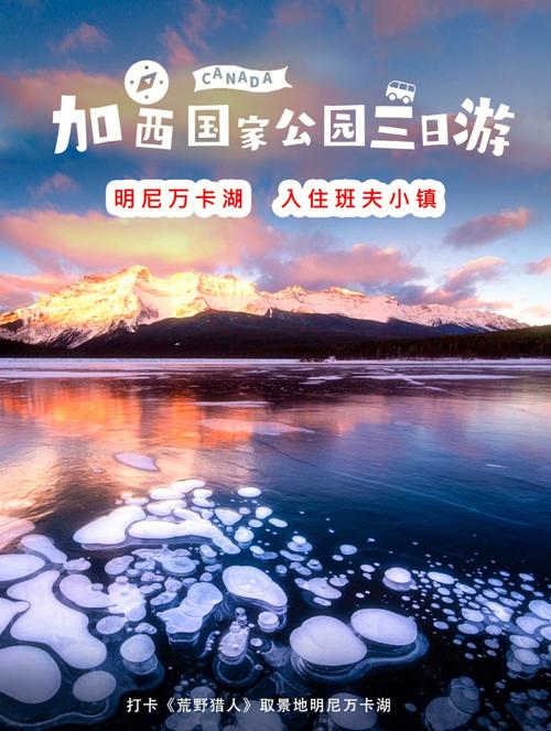 洛基山最全游戏攻略解说_洛基山最新游戏技巧通关