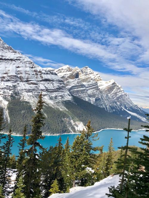 洛基山最全游戏攻略解说_洛基山最新游戏技巧通关