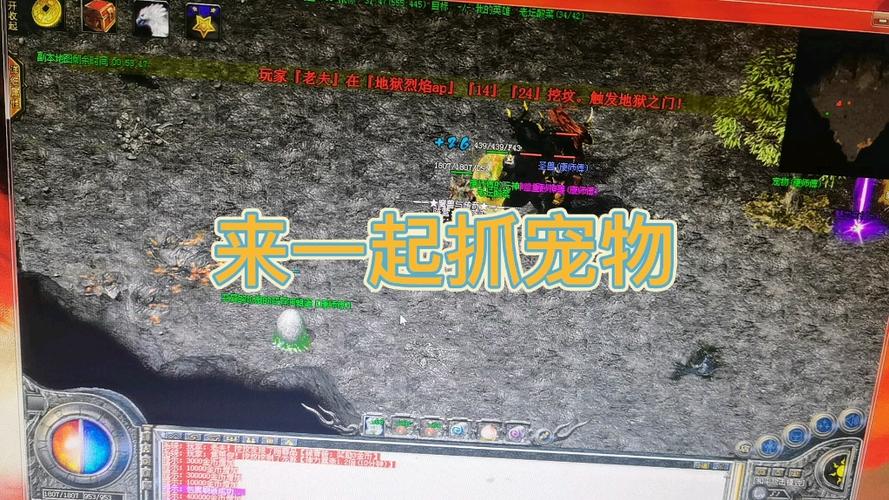 泰瑞尔最全游戏攻略解说_泰瑞尔最新游戏技巧通关