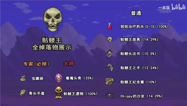 泰拉瑞亚骷髅王超详细攻略解析_泰拉瑞亚骷髅王高效通关技巧