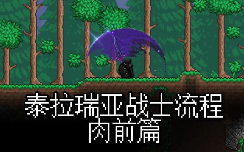 泰拉瑞亚国服下载_泰拉瑞亚国服全流程攻略及技巧