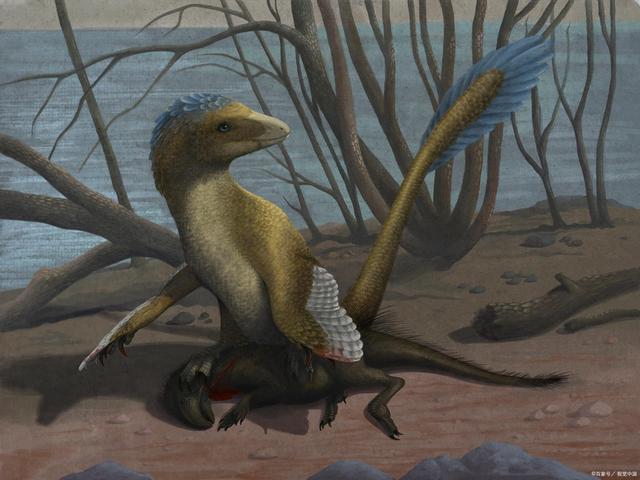 泰坦鸟最全游戏攻略解说_泰坦鸟最新游戏技巧通关