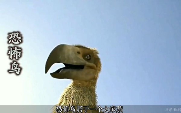 泰坦鸟最全游戏攻略解说_泰坦鸟最新游戏技巧通关