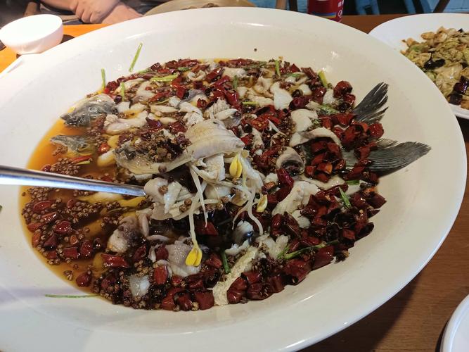 波波鱼最全游戏攻略解说_波波鱼最新游戏技巧通关