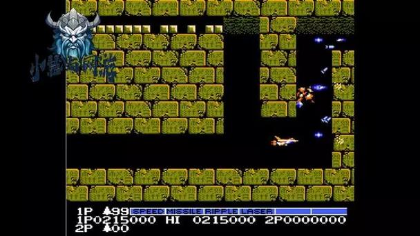 沙蛇最全游戏攻略解说_沙蛇最新游戏技巧通关