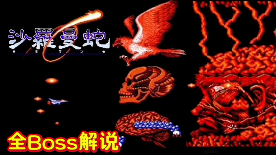 沙罗曼蛇2 最全游戏攻略解说_沙罗曼蛇2 最新游戏技巧通关