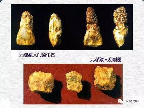 沙犷最全游戏攻略解说_沙犷最新游戏技巧通关