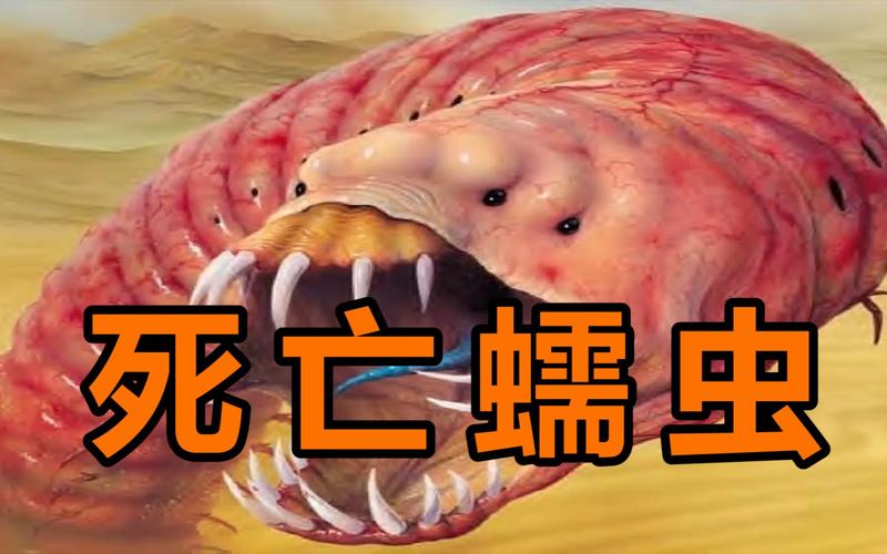 沙漠蠕虫游戏攻略秘籍_沙漠蠕虫最新玩法技巧全解析