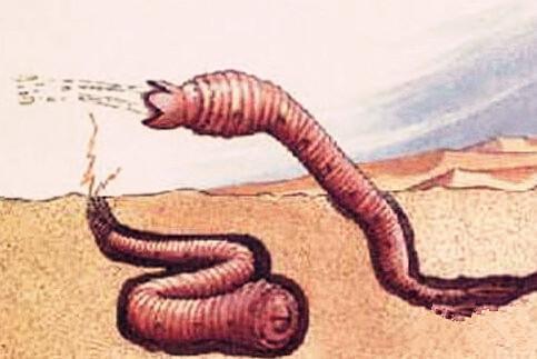 沙漠蠕虫游戏攻略秘籍_沙漠蠕虫最新玩法技巧全解析