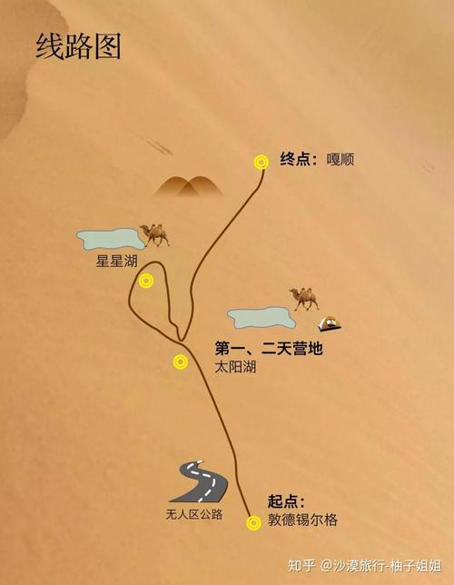 沙漠2通关秘籍与技巧全解析_沙漠2最新攻略