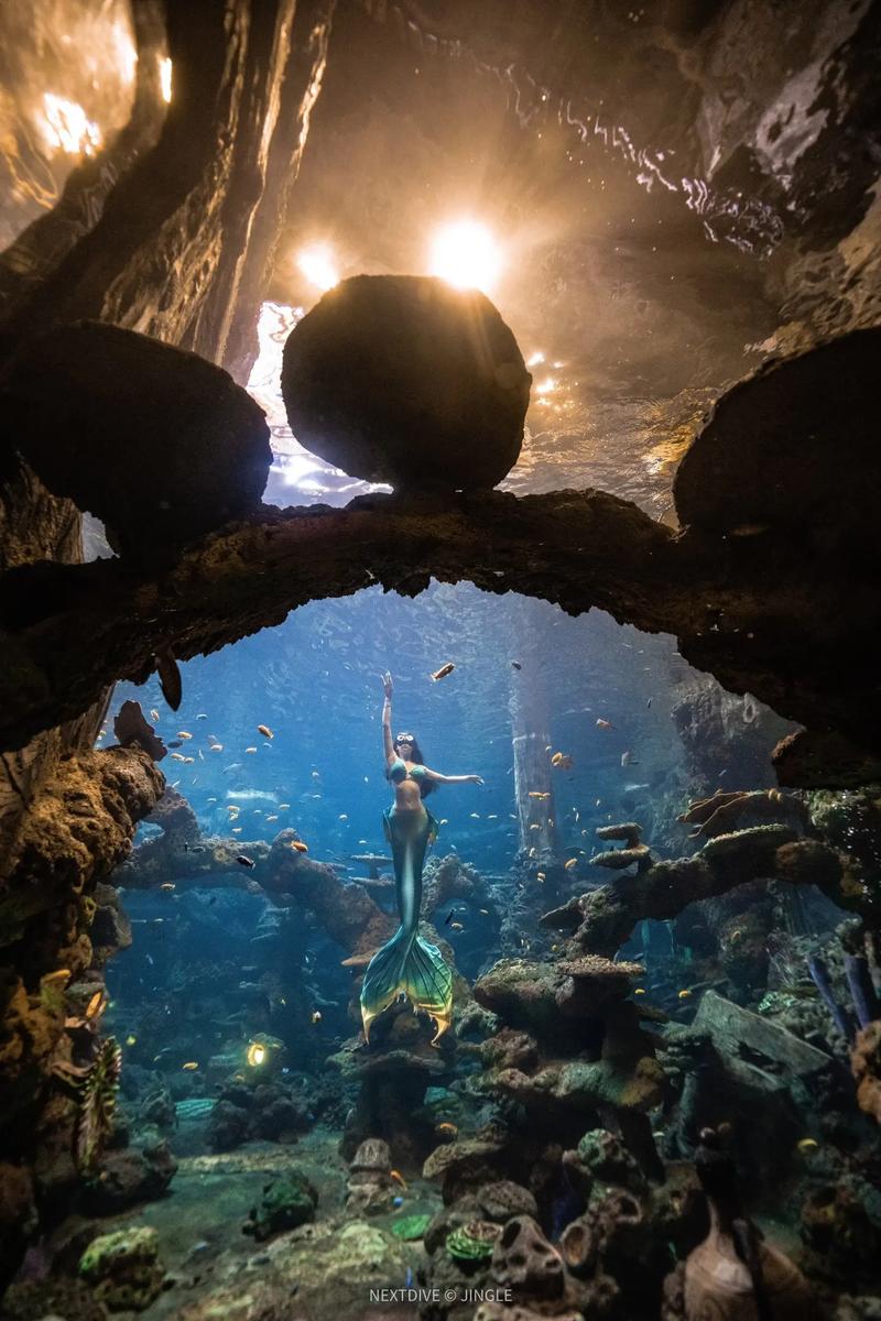 水下美人鱼最全游戏攻略解说_水下美人鱼最新游戏技巧通关