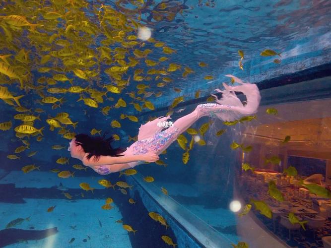 水下美人鱼最全游戏攻略解说_水下美人鱼最新游戏技巧通关