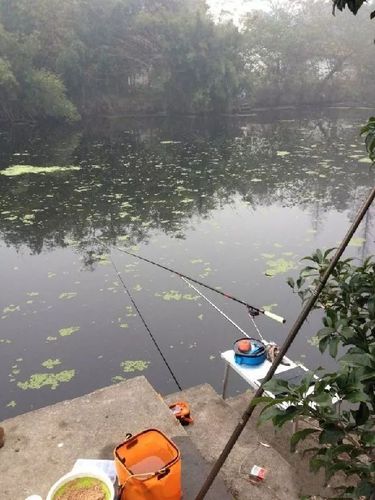 水青全流程攻略技巧_水青最新玩法通关秘籍