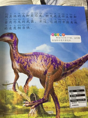 气龙游戏最全攻略解说_气龙游戏最新技巧通关