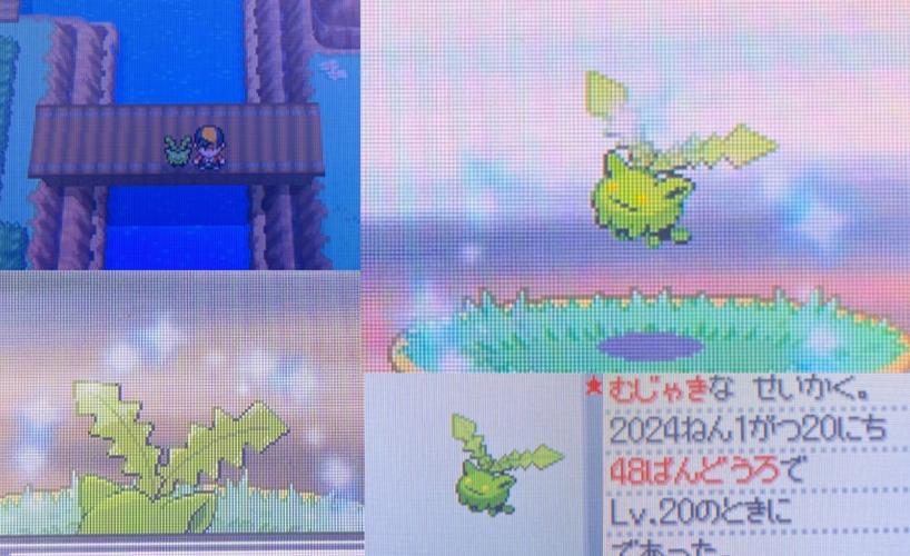 毽子草全游戏攻略解说_毽子草最新游戏技巧通关