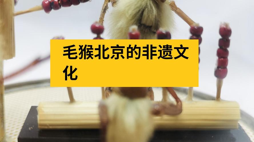 毛猴子游戏最全攻略解说_毛猴子游戏最新技巧通关