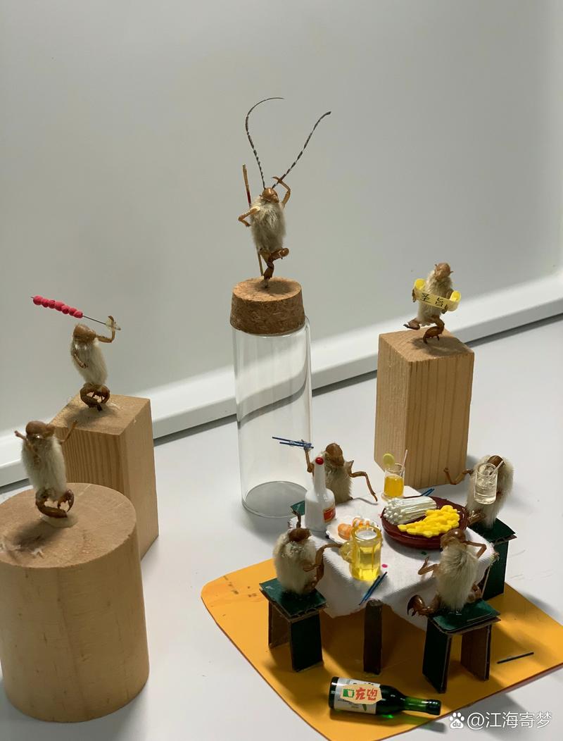 毛猴子游戏最全攻略解说_毛猴子游戏最新技巧通关