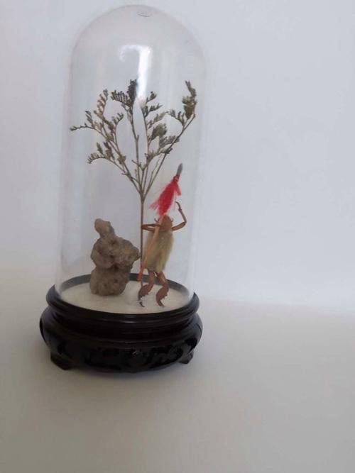 毛猴子游戏最全攻略解说_毛猴子游戏最新技巧通关