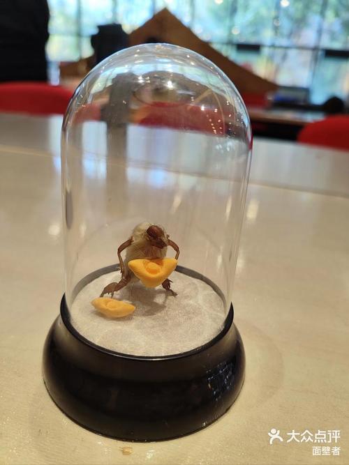 毛猴子游戏最全攻略解说_毛猴子游戏最新技巧通关