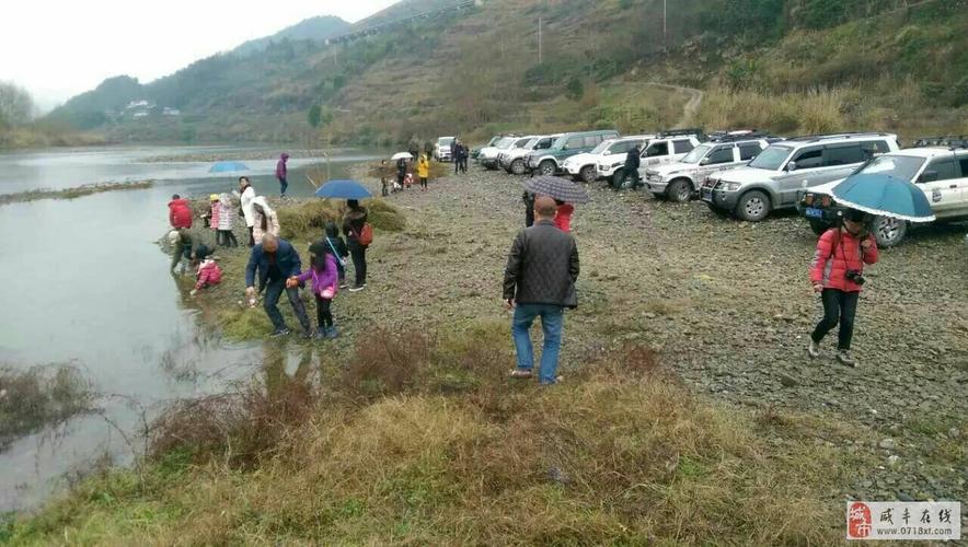 毕兹最全游戏攻略解说_毕兹最新游戏技巧通关