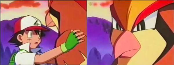 比雕种族值全解析_比雕种族值提升技巧攻略