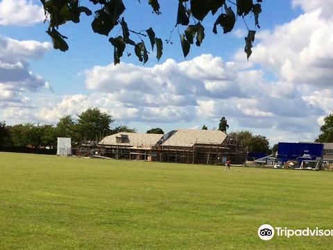 比格尔游戏全攻略解说_比格尔最新技巧通关