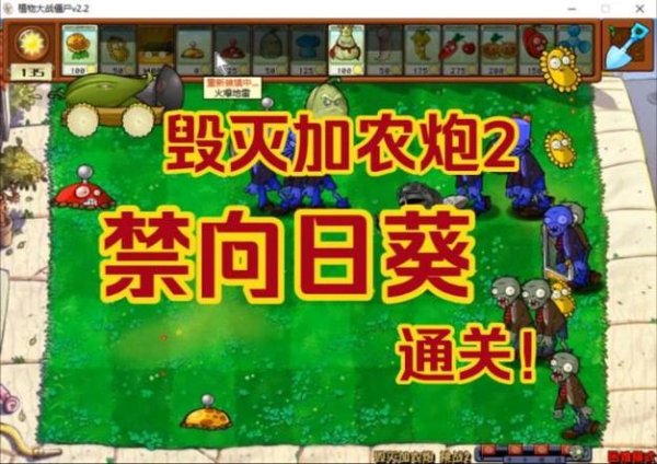 毁灭加农炮最全游戏攻略解说_毁灭加农炮最新游戏技巧通关