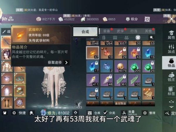 武魂最全游戏攻略解说_武魂最新游戏技巧通关