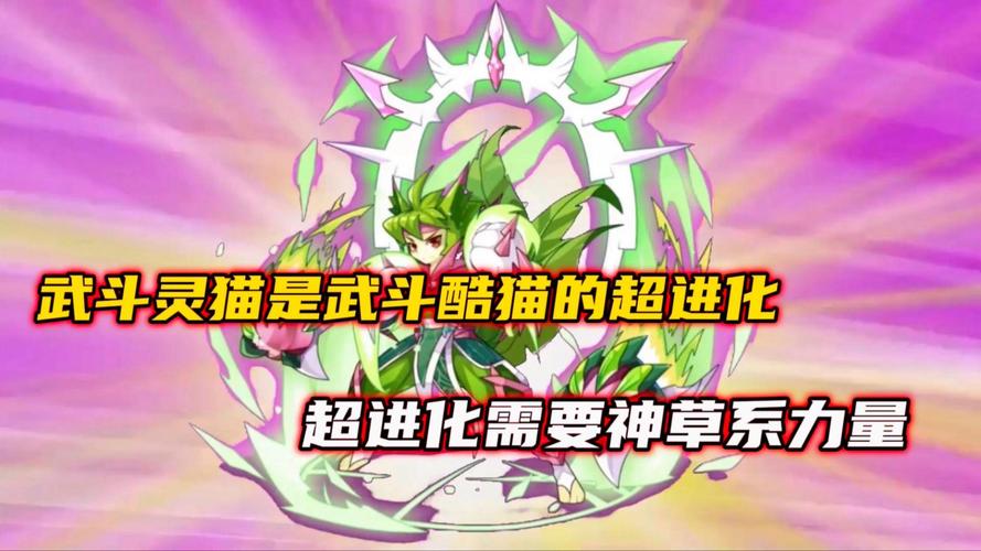 武斗灵猫最全游戏攻略解说_武斗灵猫最新游戏技巧通关