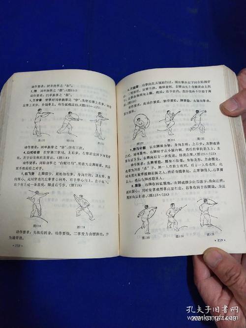 武当长拳游戏攻略全解_武当长拳最新玩法技巧解析