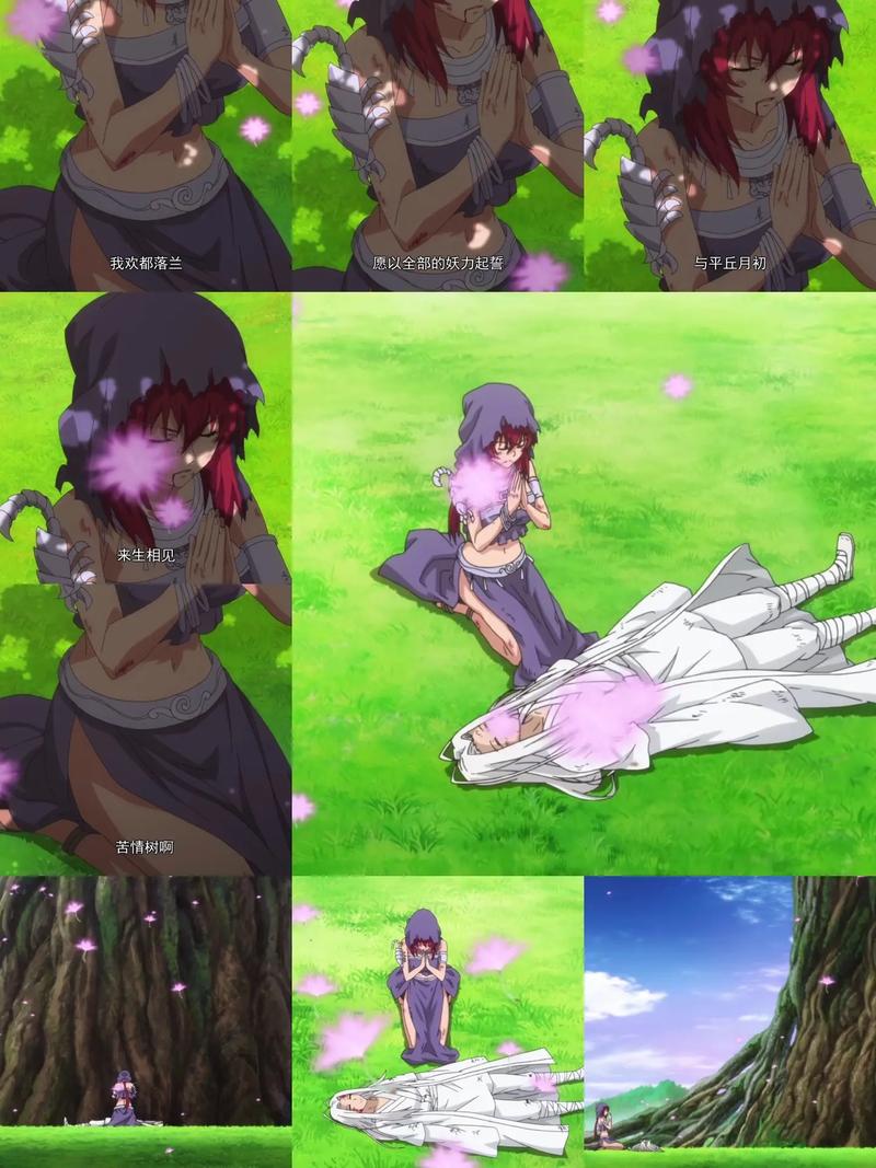 欢都落兰最全游戏攻略解说_欢都落兰最新游戏技巧通关